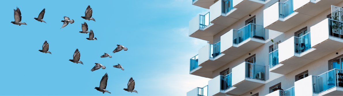 バードストライクガラス